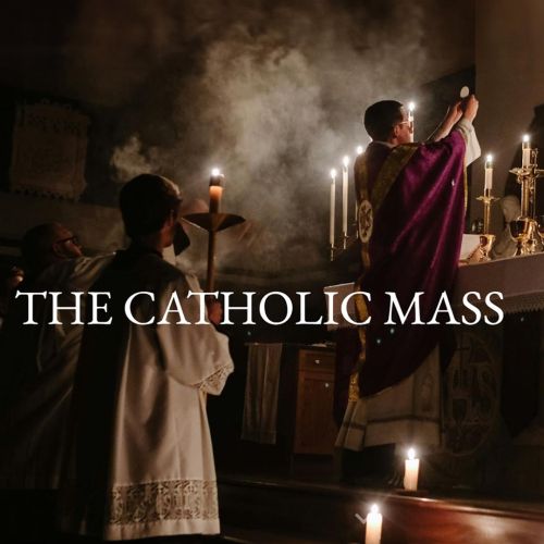 The Catholic Mass – Rediscovering the Sacred in 14 Lessons